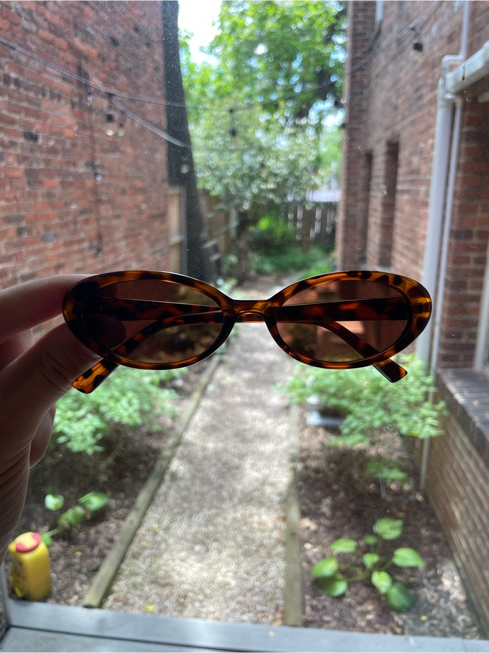 chic cat eye oval sunglasses in tortoise shell w. brown lenses